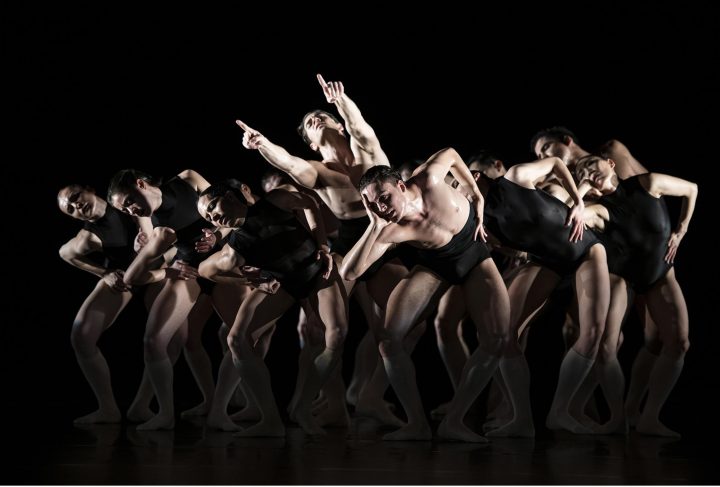 Ballett f&uuml;r Sparf&uuml;chsinnen und Sparf&uuml;chse