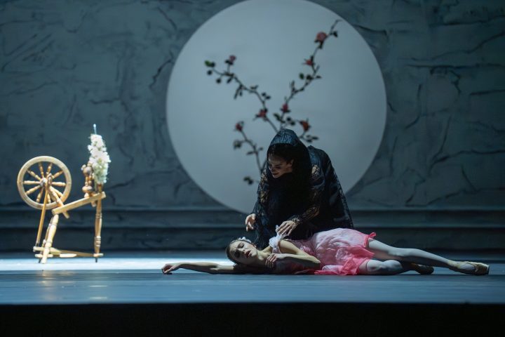 Premiere "Dornr&ouml;schen"