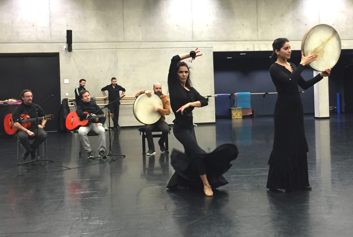 Tanzcompagnie Flamencos en Route im Balletthaus